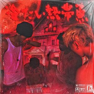 人妻毛片A一级毛片免费看
